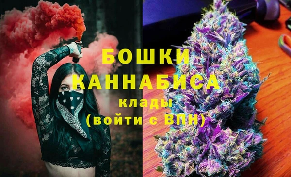 шишки Бугульма